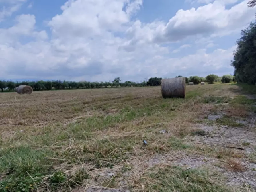 Immagine 7 di Terreno in vendita  in CONTRADA PAPALEONE a Eboli