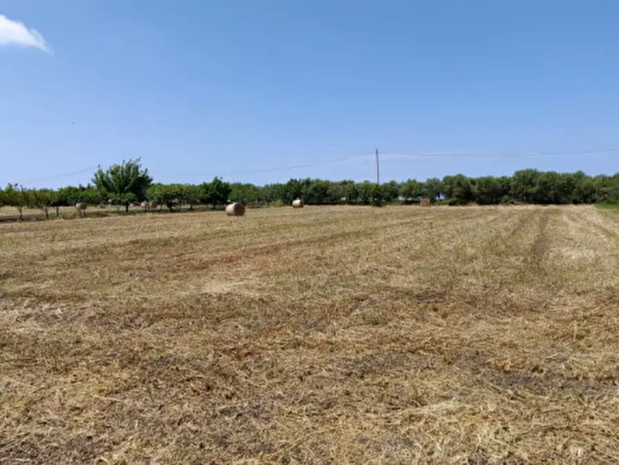 Immagine 8 di Terreno in vendita  in CONTRADA PAPALEONE a Eboli