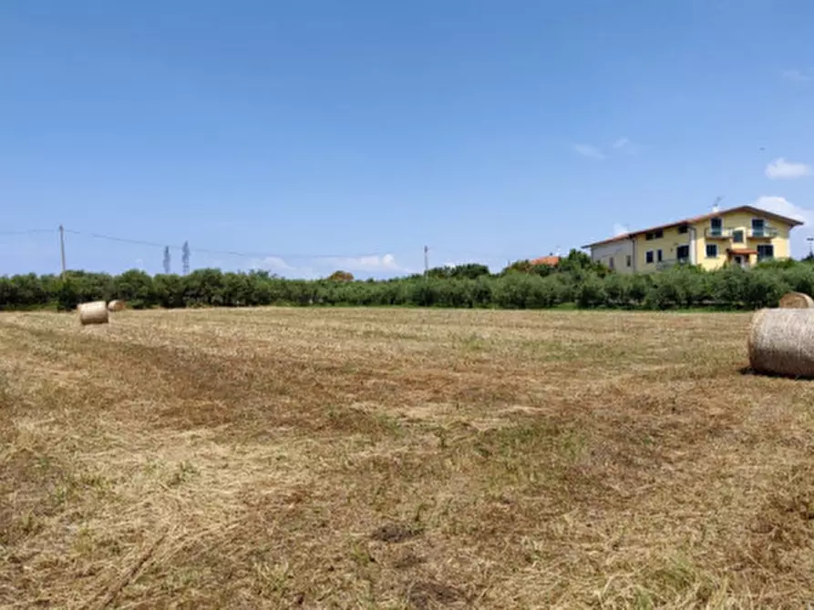 Immagine 11 di Terreno in vendita  in CONTRADA PAPALEONE a Eboli