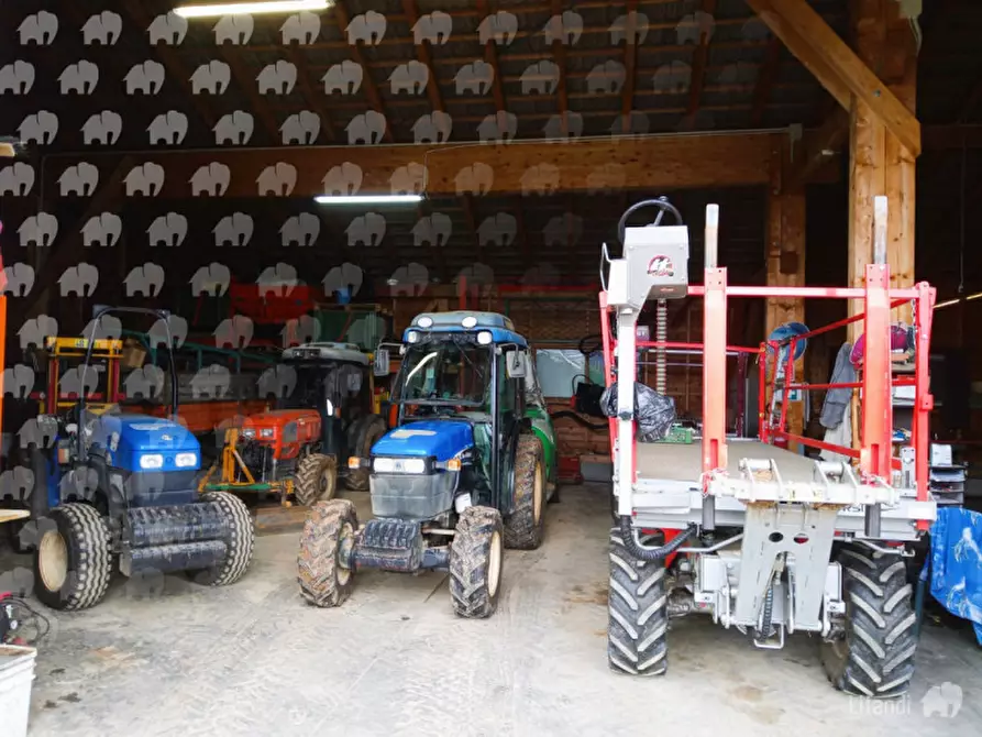 Immagine 2 di Terreno in vendita  in Azienda Agricola/Castions di Strada a Castions Di Strada