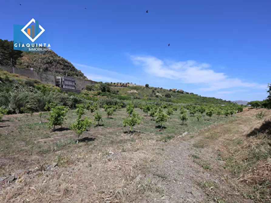 Immagine 2 di Terreno in vendita  in Contrada tenuta grande snc a Palagonia