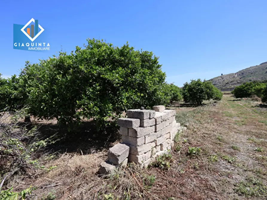 Immagine 5 di Terreno in vendita  in Contrada tenuta grande snc a Palagonia