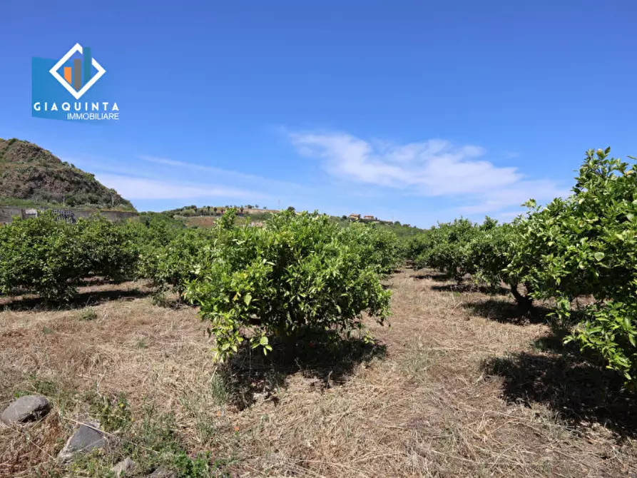 Immagine 7 di Terreno in vendita  in Contrada tenuta grande snc a Palagonia