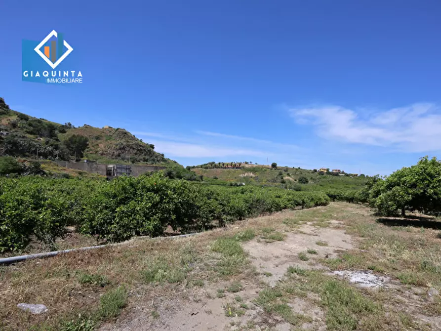 Immagine 8 di Terreno in vendita  in Contrada tenuta grande snc a Palagonia