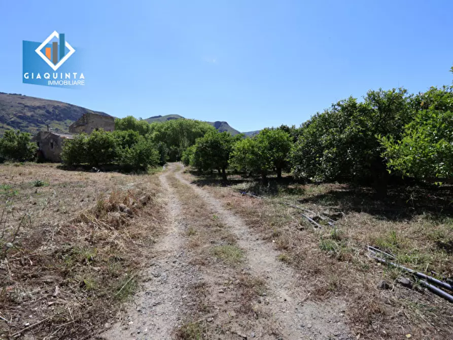 Immagine 9 di Terreno in vendita  in Contrada tenuta grande snc a Palagonia