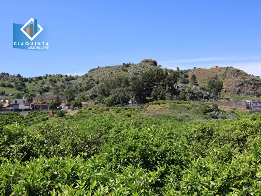 Immagine 10 di Terreno in vendita  in Contrada tenuta grande snc a Palagonia