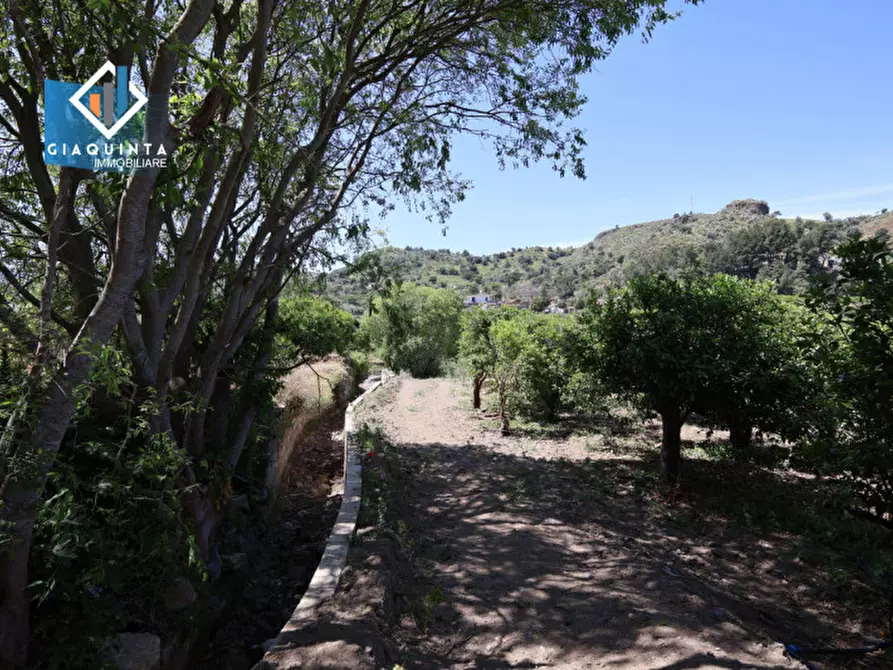 Immagine 11 di Terreno in vendita  in Contrada tenuta grande snc a Palagonia