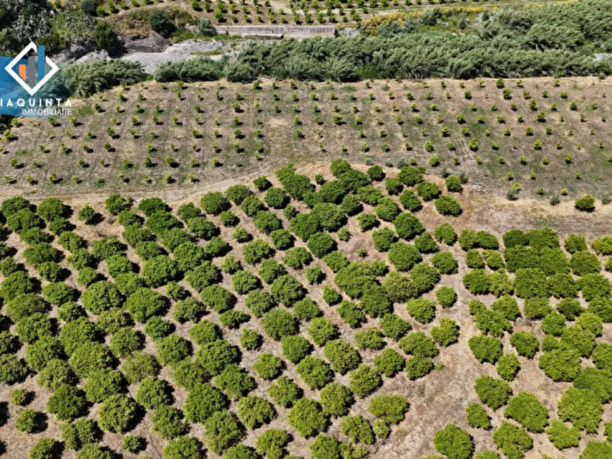 Immagine 12 di Terreno in vendita  in Contrada tenuta grande snc a Palagonia