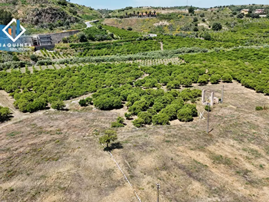 Immagine 14 di Terreno in vendita  in Contrada tenuta grande snc a Palagonia