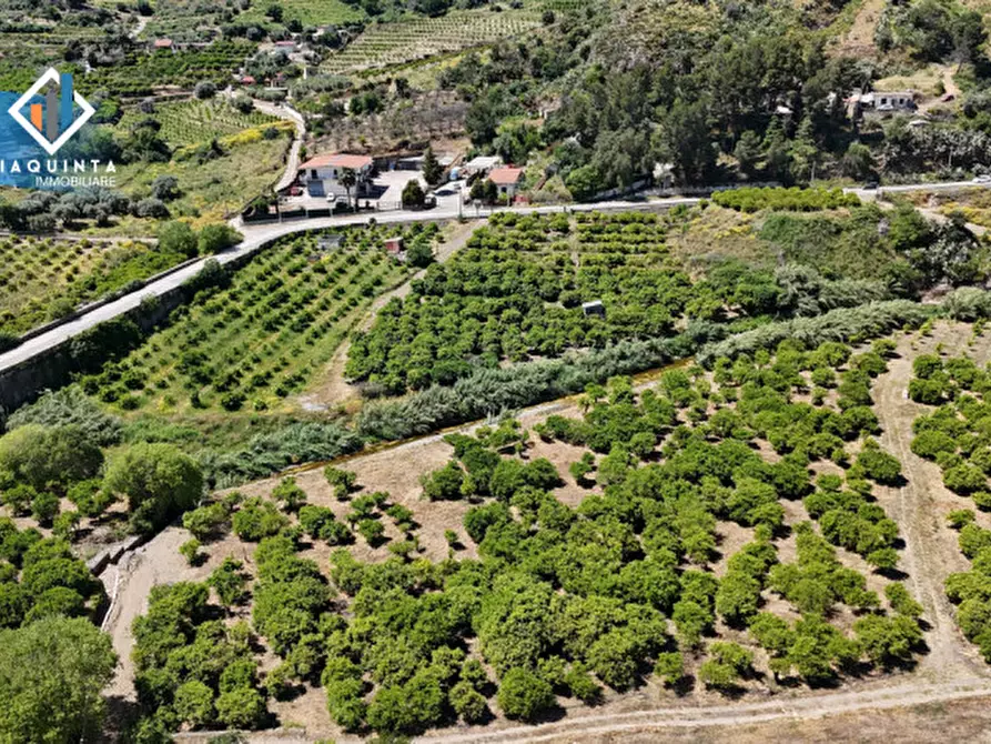 Immagine 15 di Terreno in vendita  in Contrada tenuta grande snc a Palagonia