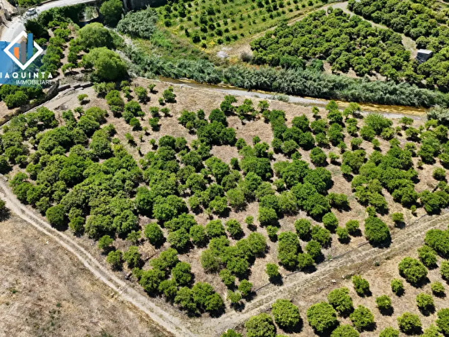 Immagine 16 di Terreno in vendita  in Contrada tenuta grande snc a Palagonia