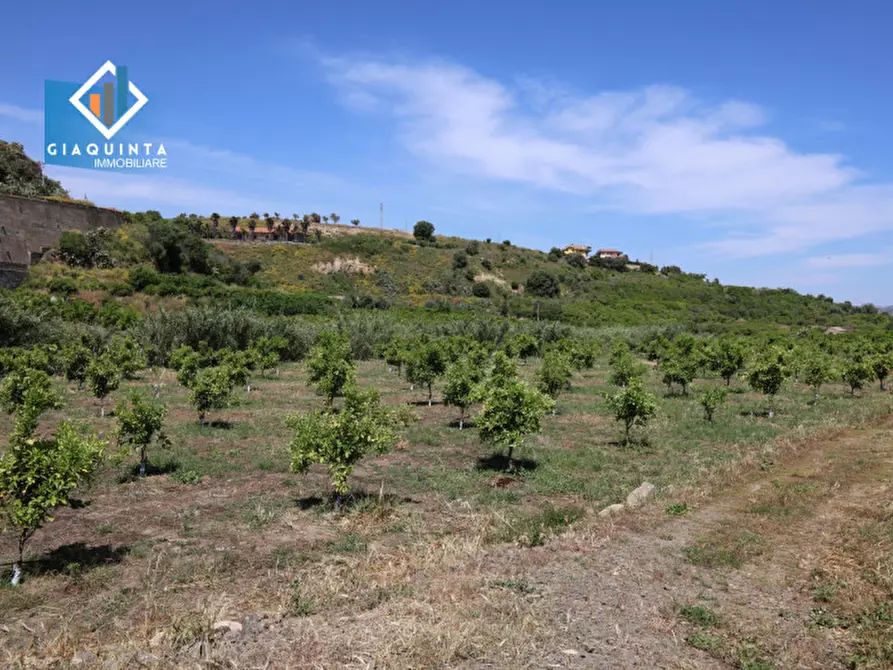 Immagine 20 di Terreno in vendita  in Contrada tenuta grande snc a Palagonia