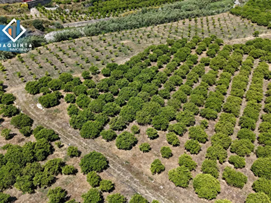 Immagine 21 di Terreno in vendita  in Contrada tenuta grande snc a Palagonia