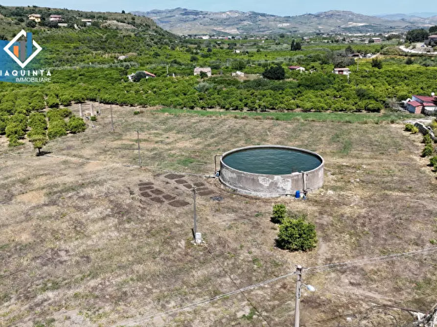Immagine 23 di Terreno in vendita  in Contrada tenuta grande snc a Palagonia