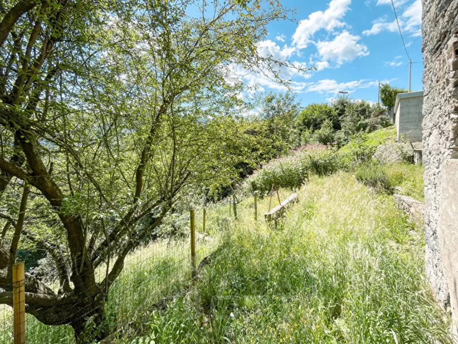 Immagine 9 di Rustico / casale in vendita  in via casanova 4 a Quarna Sotto