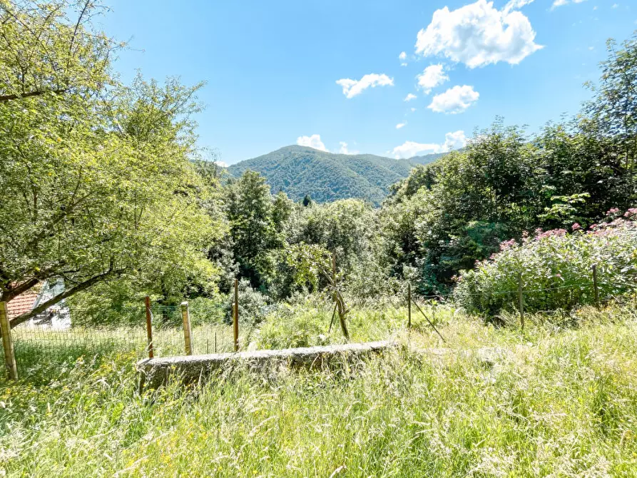 Immagine 10 di Rustico / casale in vendita  in via casanova 4 a Quarna Sotto