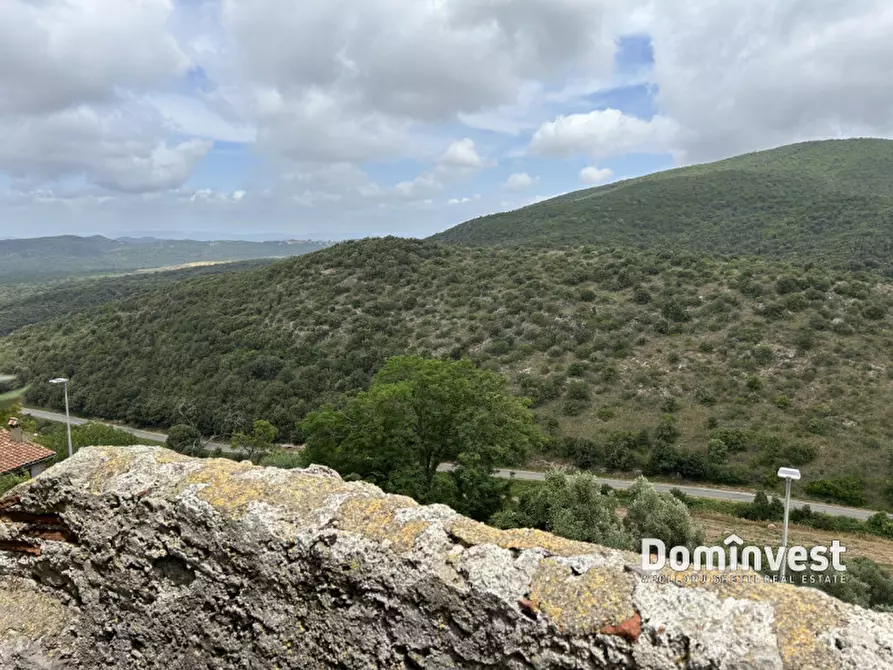 Immagine 26 di Palazzo in vendita  in Via XXIV Maggio a Capalbio