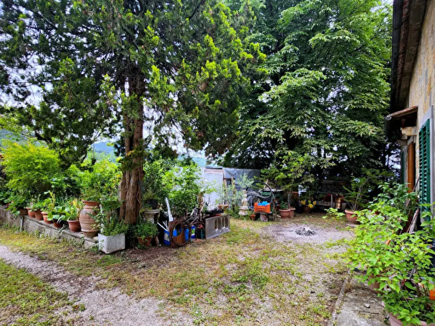 Immagine 23 di Villa in vendita  in via dell'olmo a Fiesole