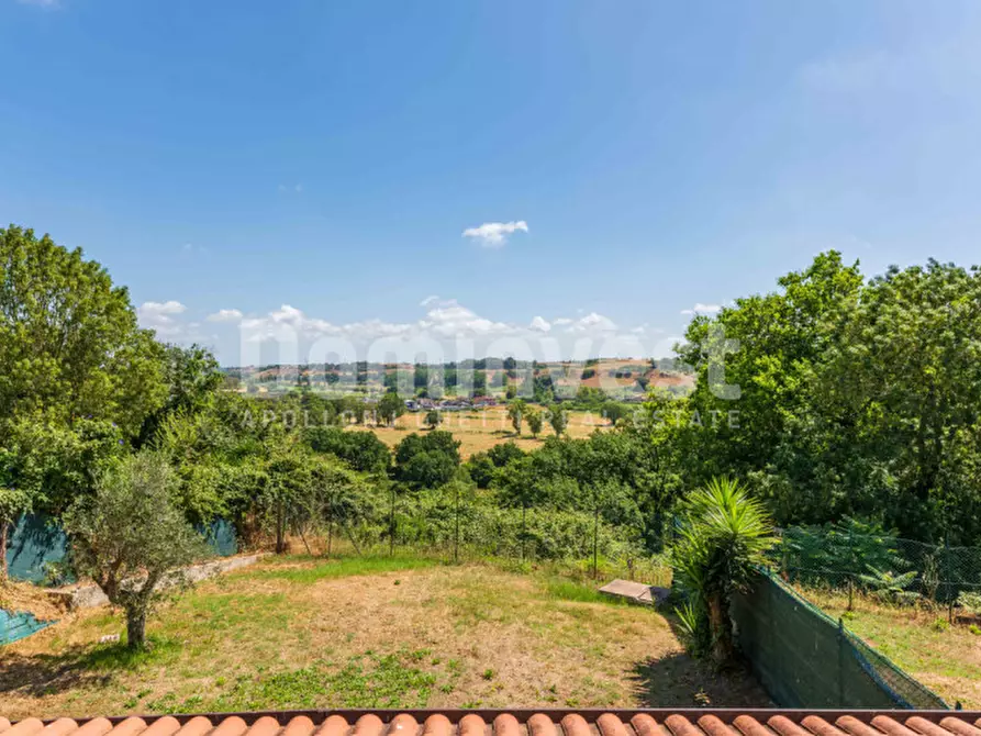 Immagine 60 di Villa in vendita  in Via del Fontanile di Mezzaluna a Fiumicino