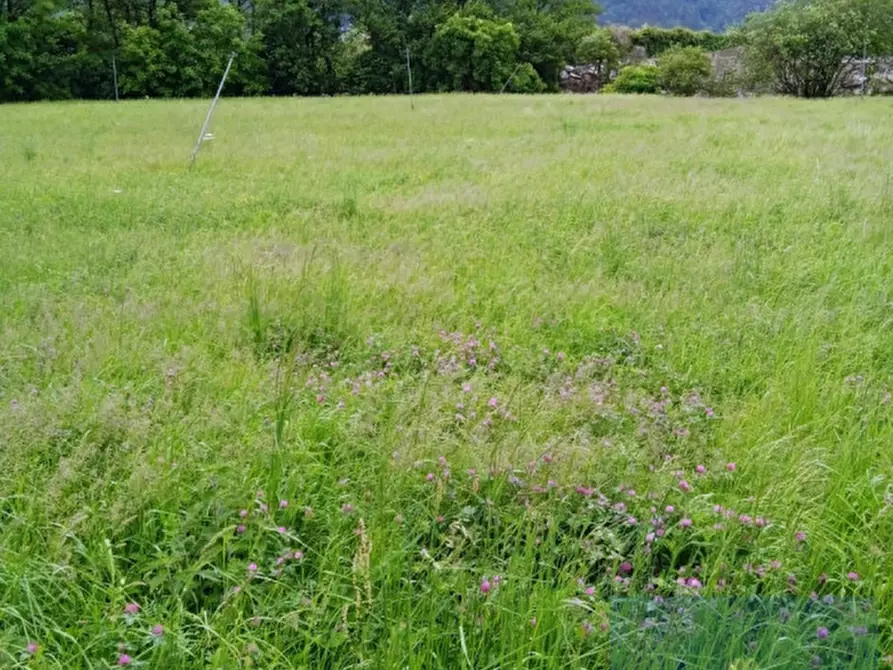 Immagine 2 di Terreno in vendita  in gb 1024 kg. NAturns a Naturno .Naturns.