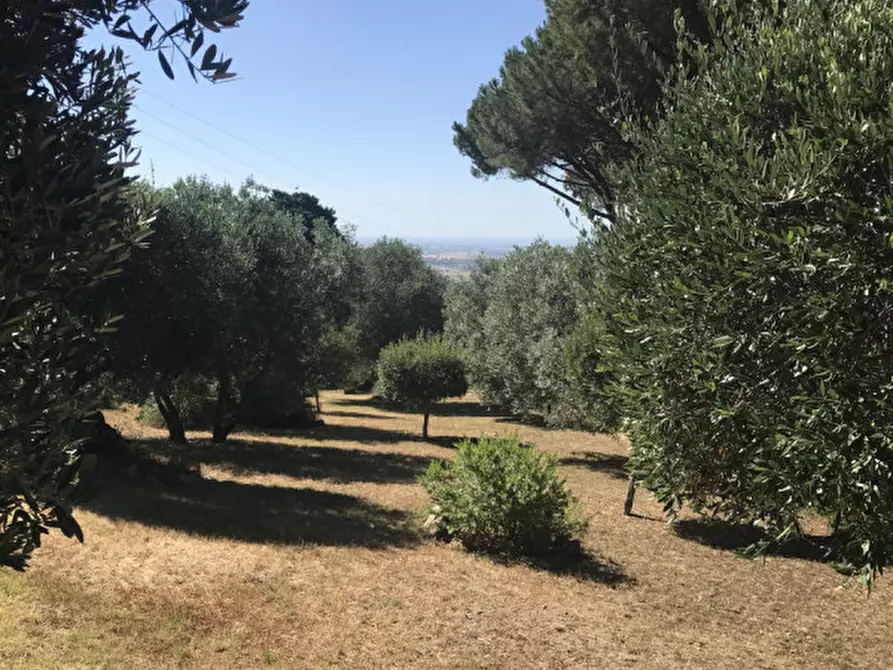 Immagine 38 di Villetta a schiera in vendita  in Poggio del Leccio a Capalbio