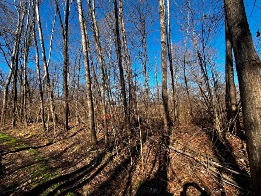 Immagine 2 di Terreno in vendita  in Sernaglia della Battaglia a Sernaglia Della Battaglia
