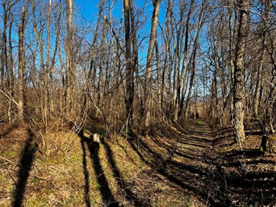 Immagine 5 di Terreno in vendita  in Sernaglia della Battaglia a Sernaglia Della Battaglia