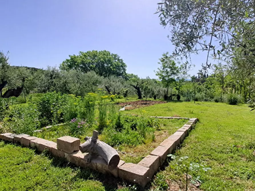 Immagine 21 di Villetta a schiera in vendita  a Castiglione Del Lago