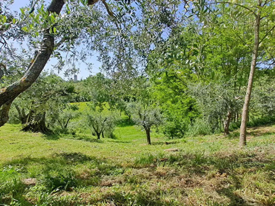 Immagine 22 di Villetta a schiera in vendita  a Castiglione Del Lago