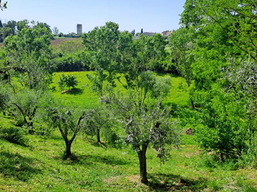 Immagine 23 di Villetta a schiera in vendita  a Castiglione Del Lago