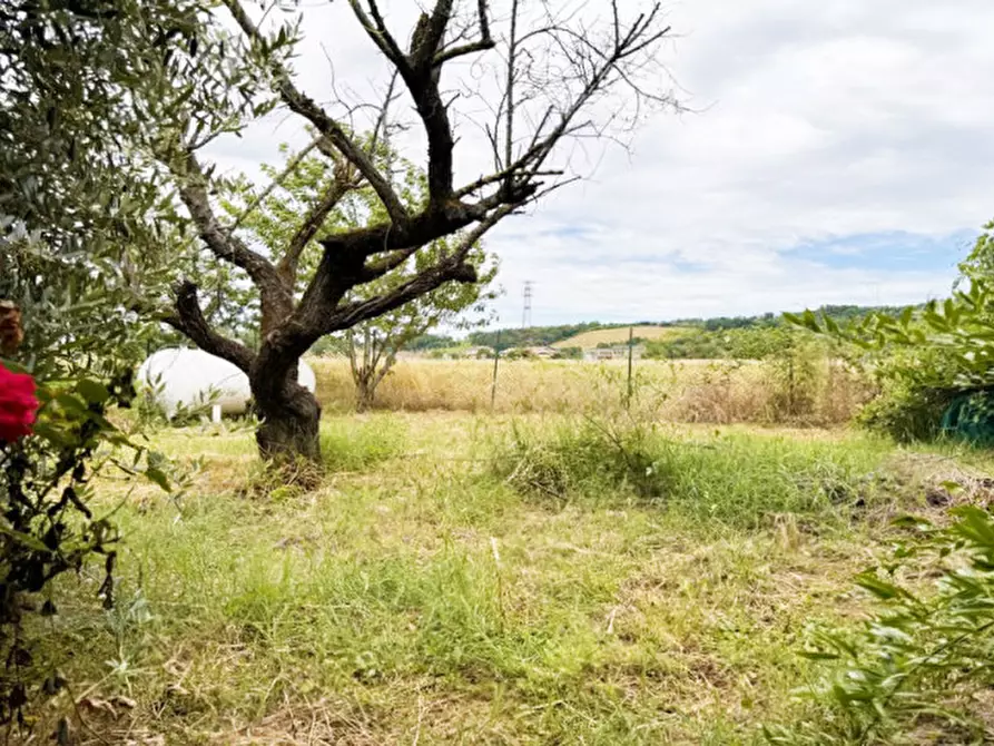 Immagine 15 di Casa indipendente in vendita  a Castell'arquato