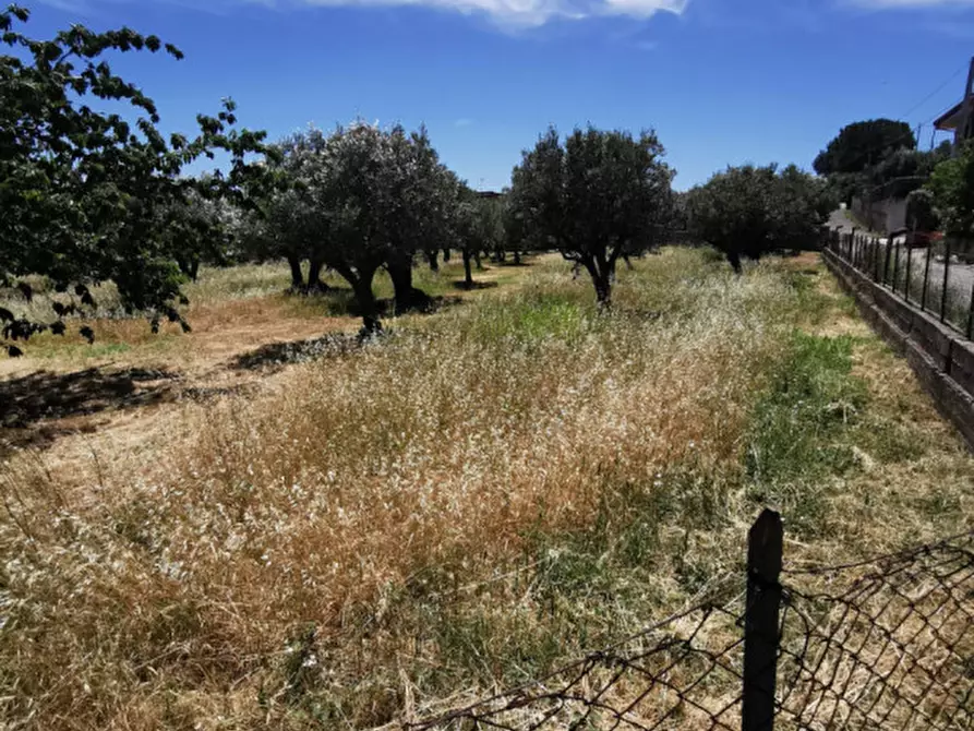 Immagine 2 di Terreno in vendita  in via galiani a Catanzaro