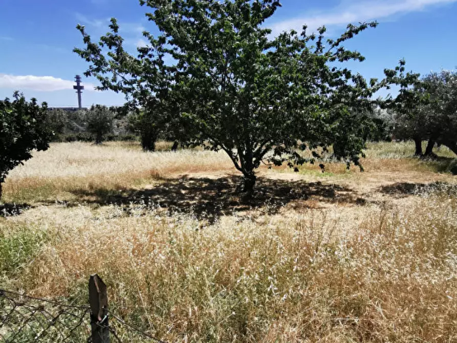 Immagine 3 di Terreno in vendita  in via galiani a Catanzaro