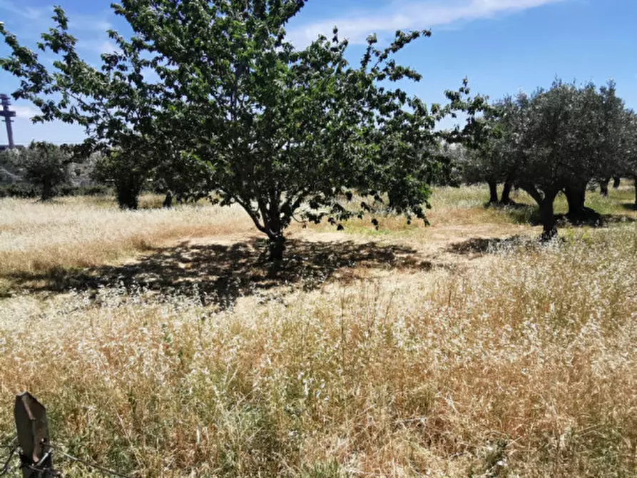 Immagine 4 di Terreno in vendita  in via galiani a Catanzaro