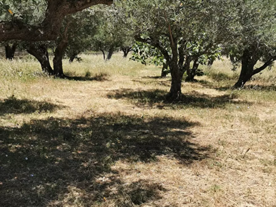 Immagine 5 di Terreno in vendita  in via galiani a Catanzaro