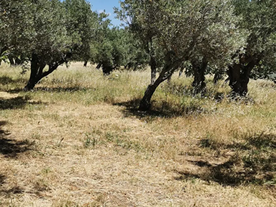 Immagine 7 di Terreno in vendita  in via galiani a Catanzaro