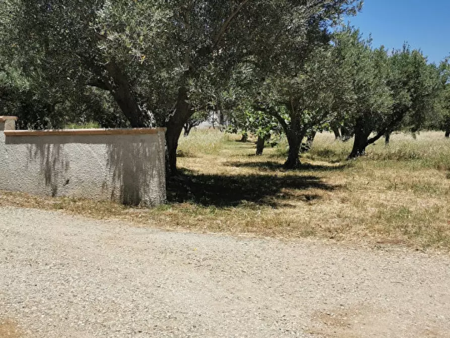 Immagine 8 di Terreno in vendita  in via galiani a Catanzaro