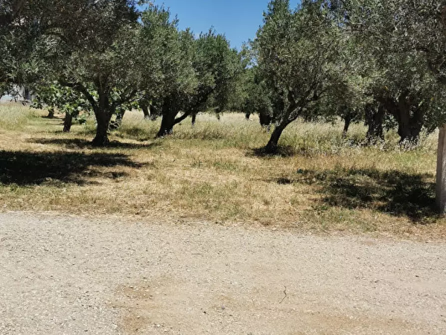 Immagine 9 di Terreno in vendita  in via galiani a Catanzaro