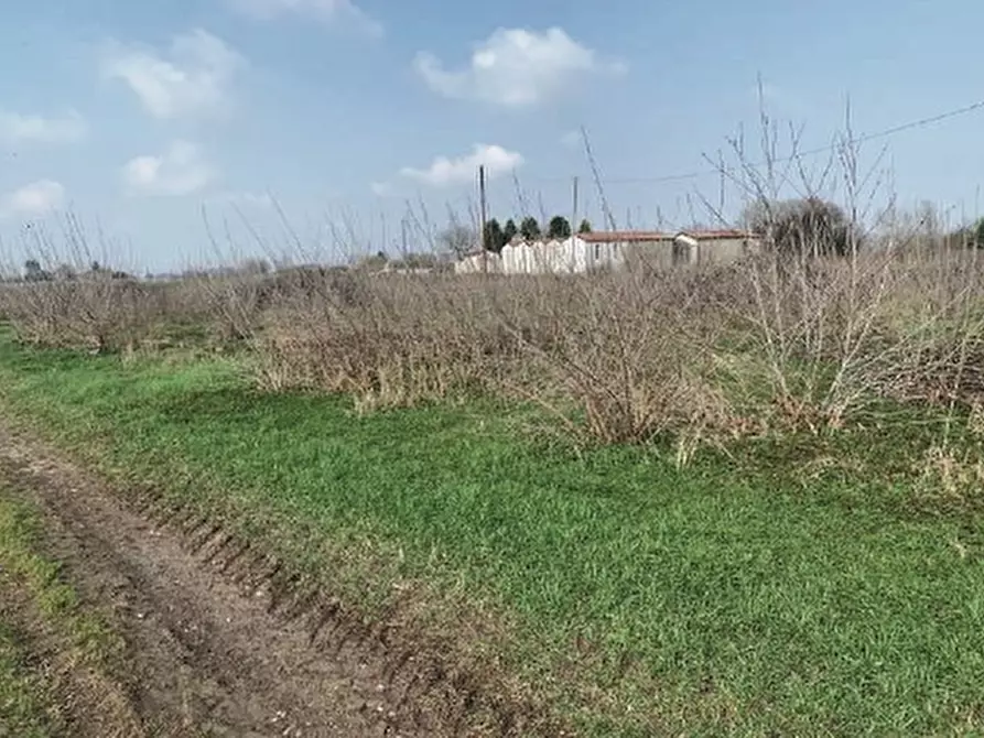 Immagine 3 di Terreno in vendita  in VIA DELLA GIARA a Sorgà