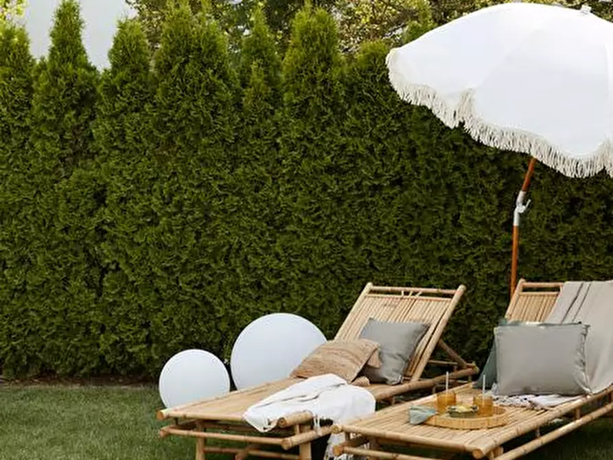 Immagine 2 di Villa in vendita  in Roncaglia a Ponte San Nicolò