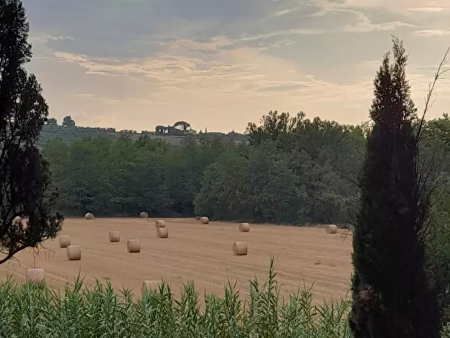 Immagine 1 di Appartamento in vendita  in Via empolese 12 a Scandicci