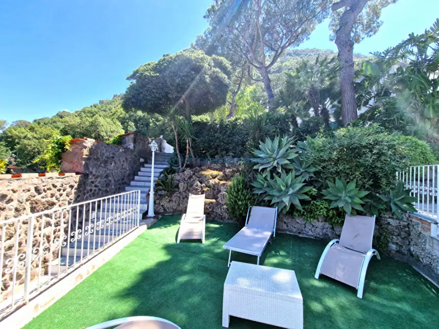 Immagine 21 di Casa quadrifamiliare in vendita  in Via Quercia a Ischia