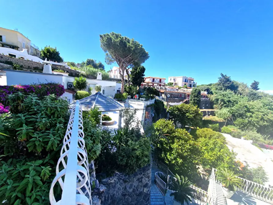 Immagine 23 di Casa quadrifamiliare in vendita  in Via Quercia a Ischia