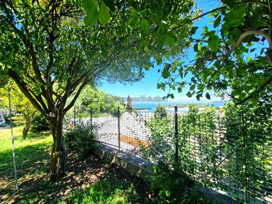 Immagine 29 di Casa quadrifamiliare in vendita  in Via Quercia a Ischia