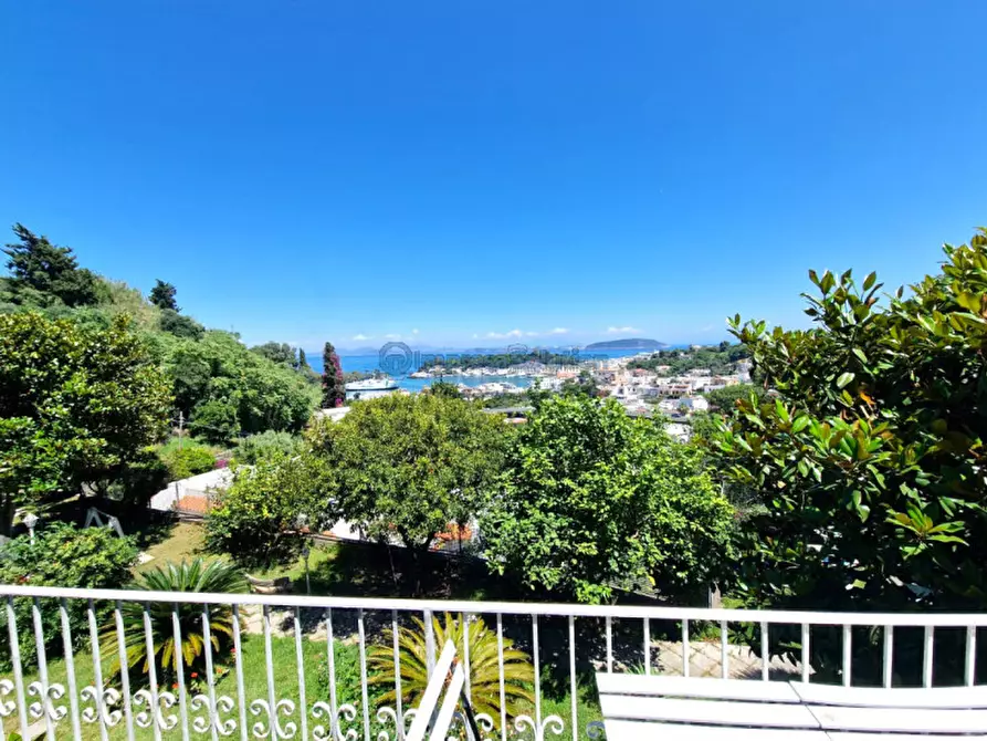 Immagine 40 di Casa quadrifamiliare in vendita  in Via Quercia a Ischia