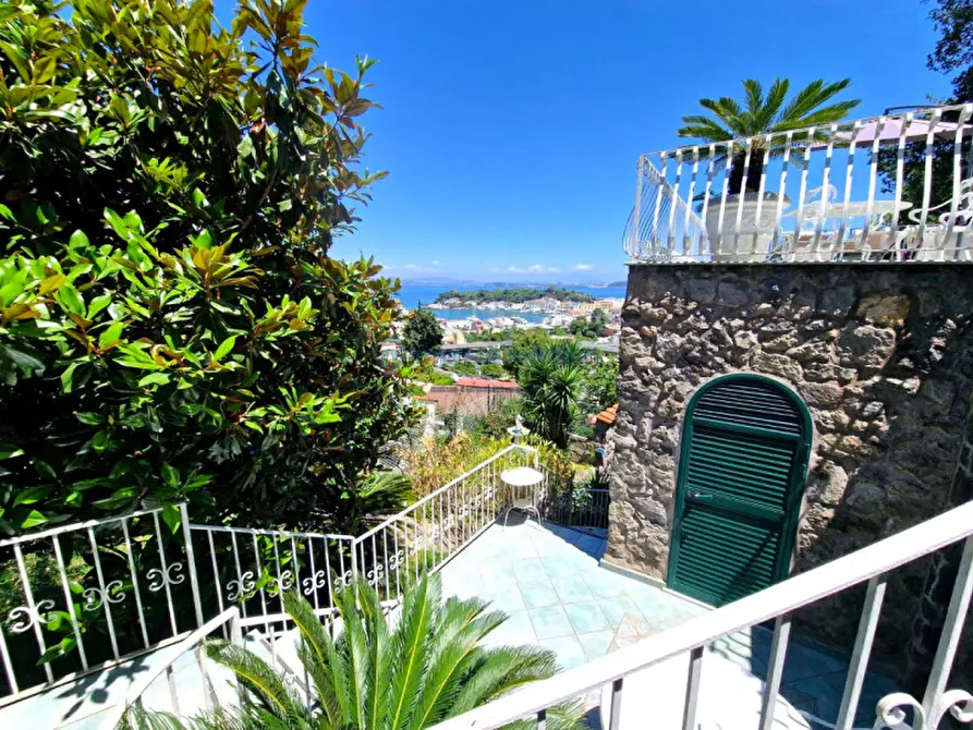 Immagine 41 di Casa quadrifamiliare in vendita  in Via Quercia a Ischia