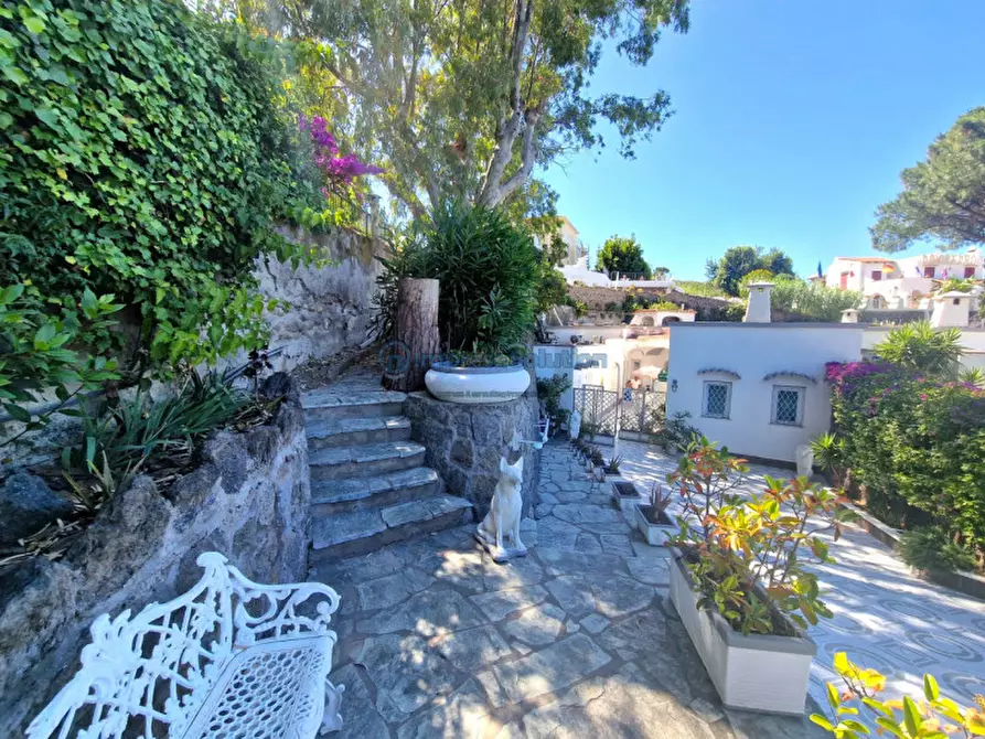 Immagine 42 di Casa quadrifamiliare in vendita  in Via Quercia a Ischia