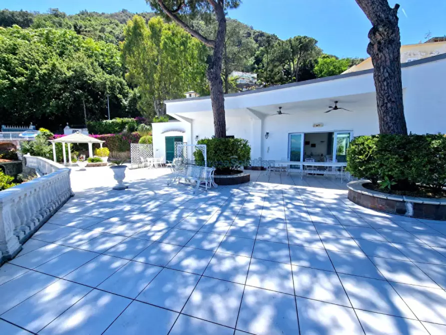 Immagine 46 di Casa quadrifamiliare in vendita  in Via Quercia a Ischia