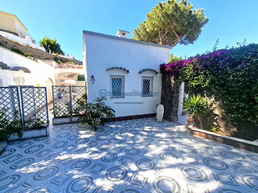 Immagine 48 di Casa quadrifamiliare in vendita  in Via Quercia a Ischia