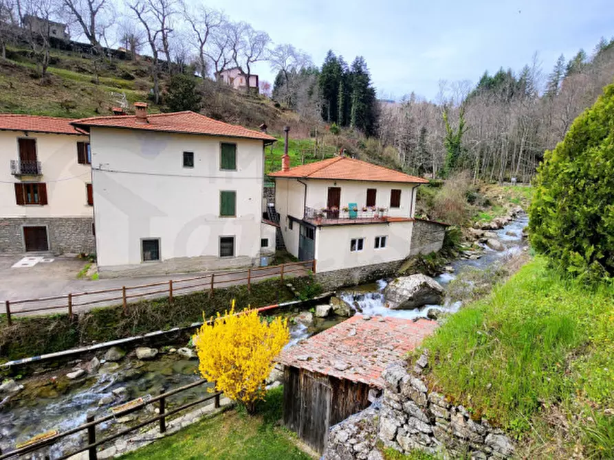 Immagine 12 di Appartamento in vendita  in via pieve a Montemignaio